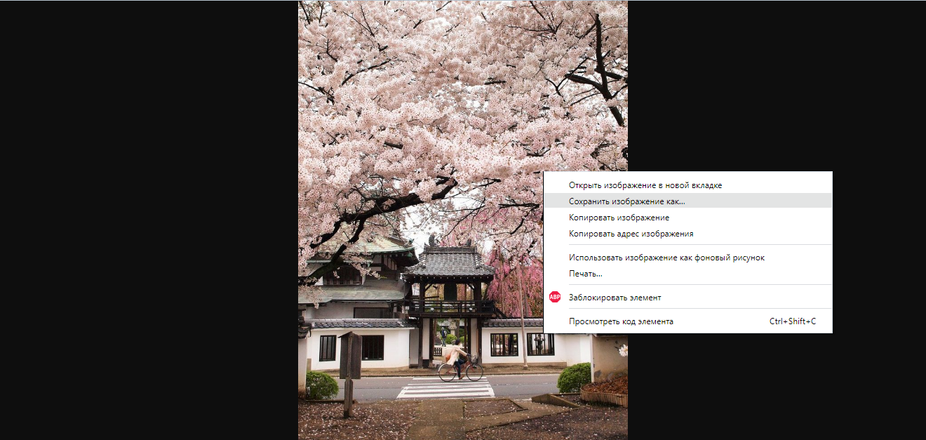 How to Save Pictures from Pinterest | Save picture as... How to Save Pictures from Pinterest | Save picture as...
