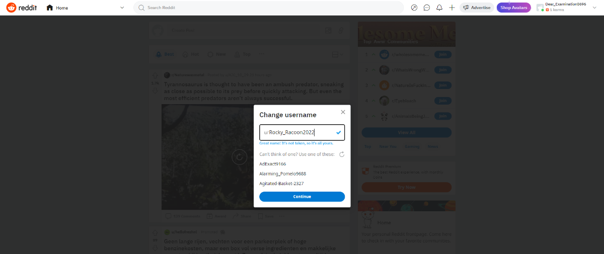 Click Continue and Save Username