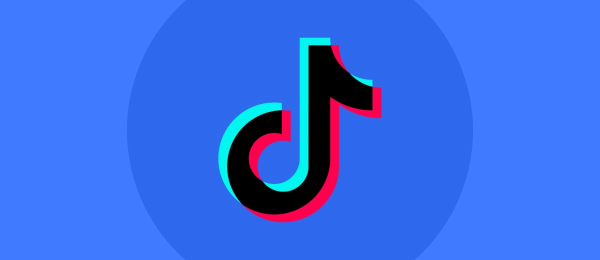 TikTok Launched LinkedIn Analogue