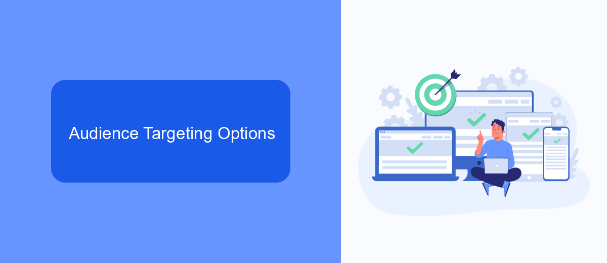 Audience Targeting Options Audience Targeting Options