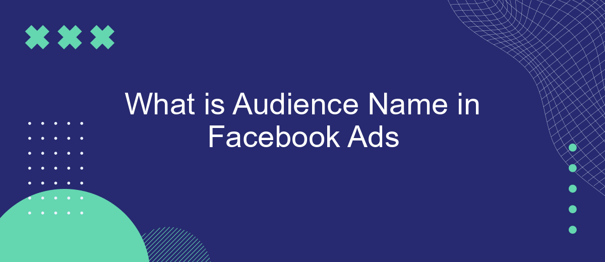 What is Audience Name in Facebook Ads