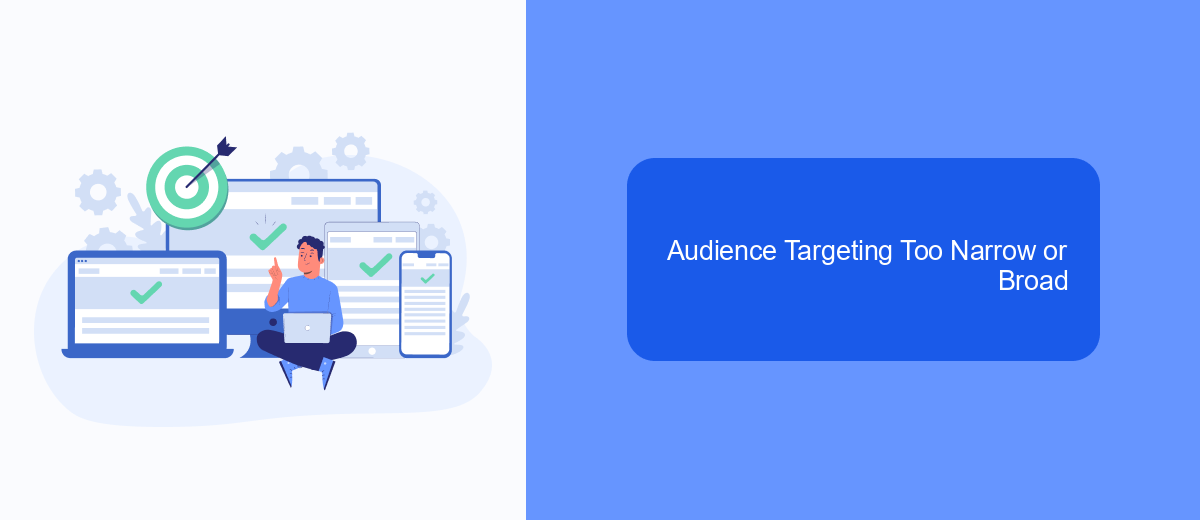 Audience Targeting Too Narrow or Broad Audience Targeting Too Narrow or Broad