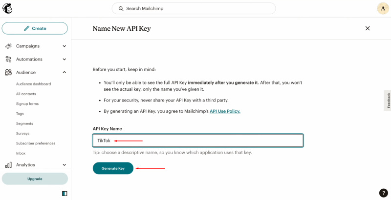 TikTok and Mailchimp integration | Specify a name for the new API key and click “Generate Key”