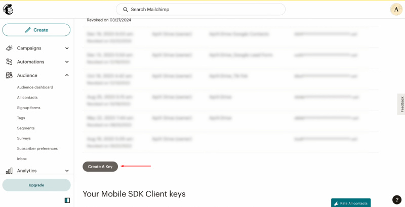 TikTok and Mailchimp integration | Click “Create A Key”