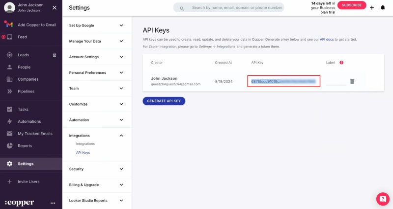 Copy the API key