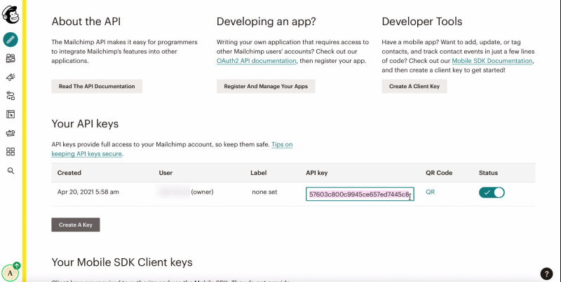 MailChimp and Facebook integration | Copy the generated key&nbsp;