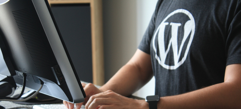 Why WordPress is the best for SEO<br>