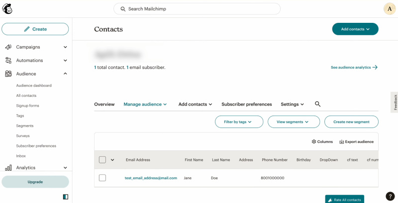 TikTok and Mailchimp integration | Go to Mailchimp and check the result