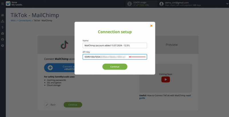 TikTok and Mailchimp integration | Paste the API key into the appropriate field in SaveMyLeads
