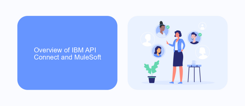 Overview of IBM API Connect and MuleSoft