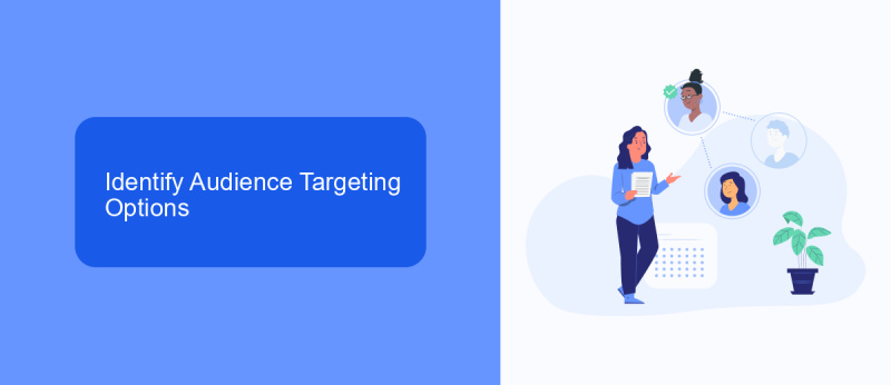 Identify Audience Targeting Options